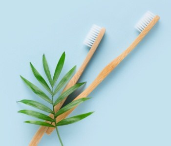 Two tooth brushes next to a sprig of mint
