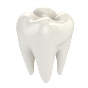 white tooth cusp and enamel